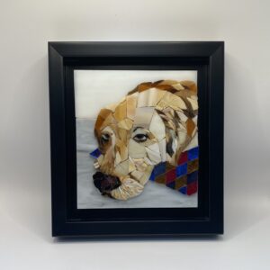 Golden Retriever, 2024