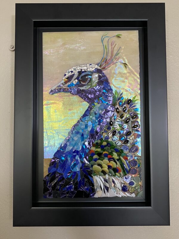 "Pavo real" 2024