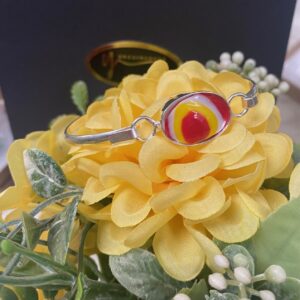 Pulsera intercambiable